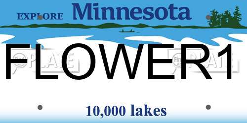 FLOWER1 Minnesota License Plate
