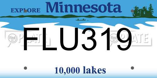 FLU319 Minnesota License Plate