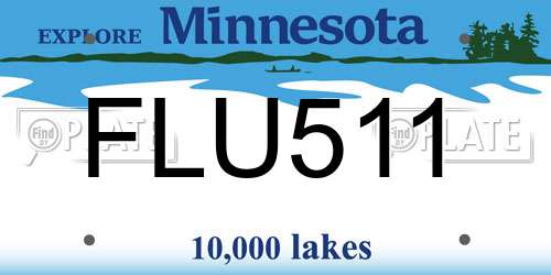 FLU511 Minnesota License Plate