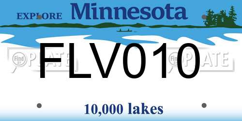 FLV010 license plate in MN state