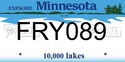 FRY089 Minnesota License Plate