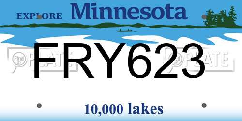 FRY623 Minnesota License Plate