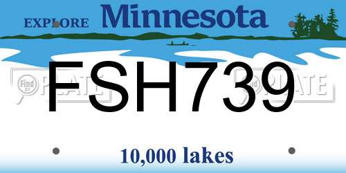 FSH739 Minnesota License Plate