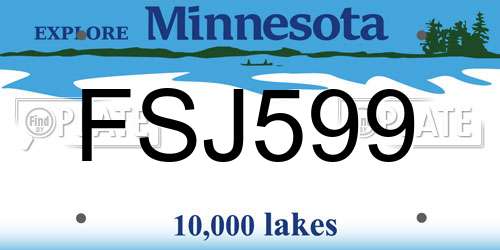 FSJ599 Minnesota License Plate