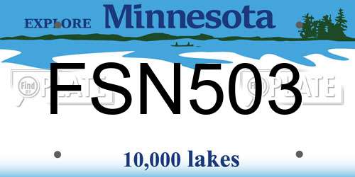 FSN503 Minnesota License Plate