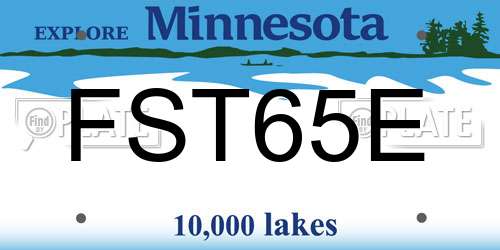 FST65E Minnesota License Plate