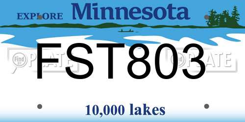 FST803 Minnesota License Plate