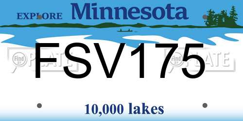 FSV175 Minnesota License Plate
