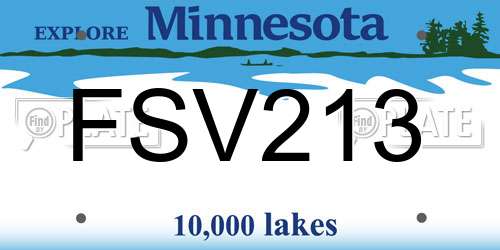 FSV213 Minnesota License Plate