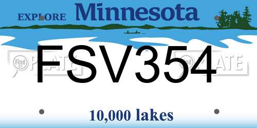 FSV354 Minnesota License Plate