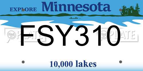 FSY310 Minnesota License Plate