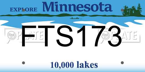 FTS173 Minnesota License Plate