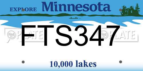 FTS347 Minnesota License Plate