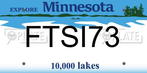 FTSI73 Minnesota License Plate