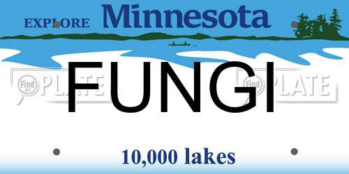 FUNGI Minnesota License Plate