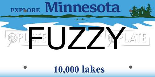 FUZZY Minnesota License Plate