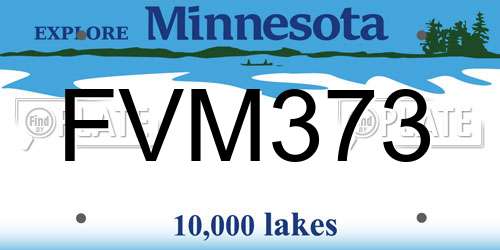 FVM373 Minnesota License Plate