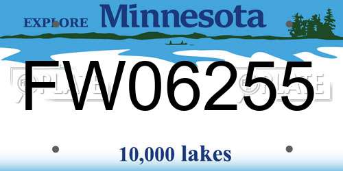 FW06255 Minnesota License Plate