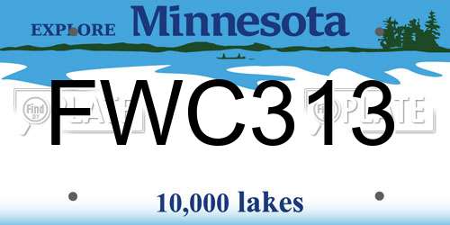 FWC313 Minnesota License Plate