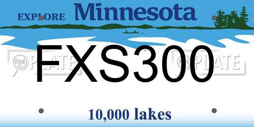 FXS300 Minnesota License Plate