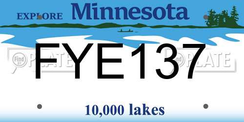 FYE137 Minnesota License Plate