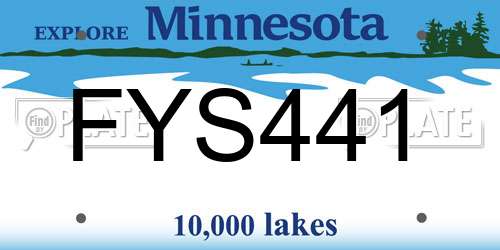 FYS441 Minnesota License Plate