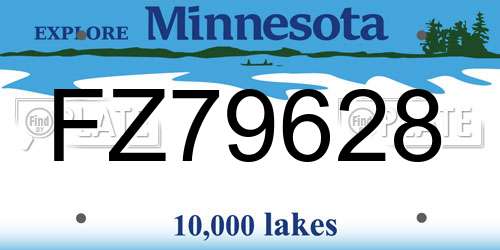 FZ79628 Minnesota License Plate