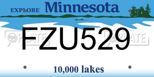 FZU529 Minnesota License Plate
