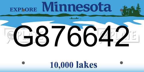 G876642 Minnesota License Plate