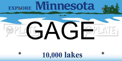 GAGE Minnesota License Plate
