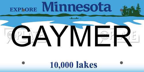 GAYMER Minnesota License Plate