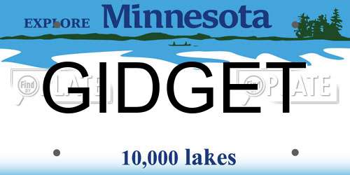 GIDGET Minnesota License Plate