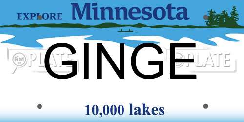 GINGE Minnesota License Plate