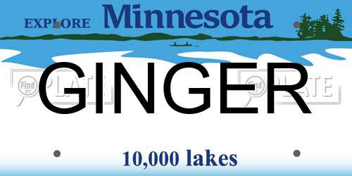 GINGER Minnesota License Plate