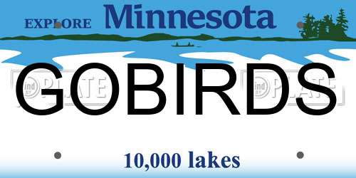 GOBIRDS Minnesota License Plate