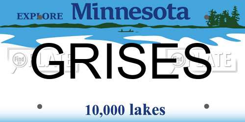 GRISES Minnesota License Plate