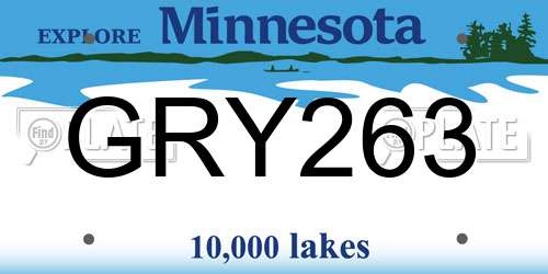 GRY263 Minnesota License Plate