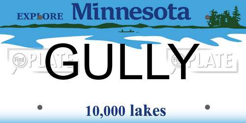 GULLY Minnesota License Plate
