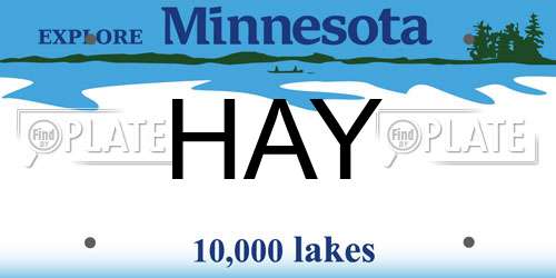 HAY Minnesota License Plate