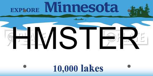 HMSTER Minnesota License Plate