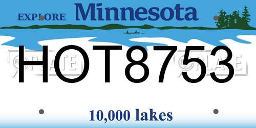 HOT8753 Minnesota License Plate