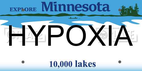 HYPOXIA Minnesota License Plate