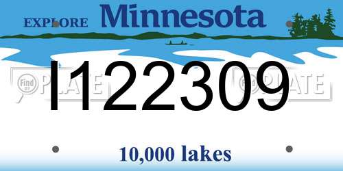 I122309 Minnesota License Plate