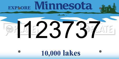 I123737 Minnesota License Plate