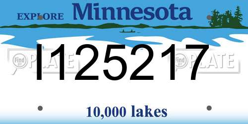 I125217 Minnesota License Plate
