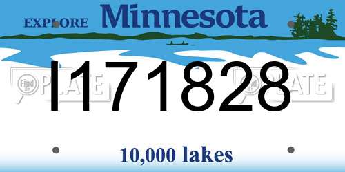 I171828 Minnesota License Plate