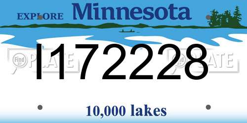 I172228 Minnesota License Plate