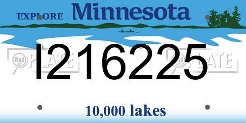 I216225 Minnesota License Plate