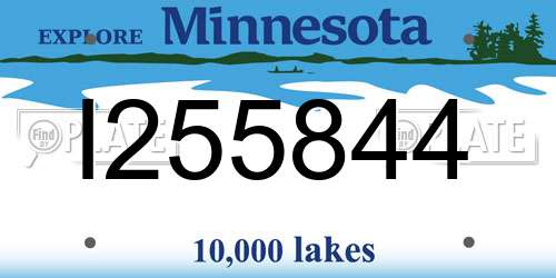 I255844 Minnesota License Plate