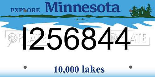 I256844 Minnesota License Plate
